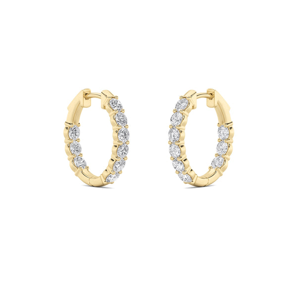 Dainty Sparkles Hoops