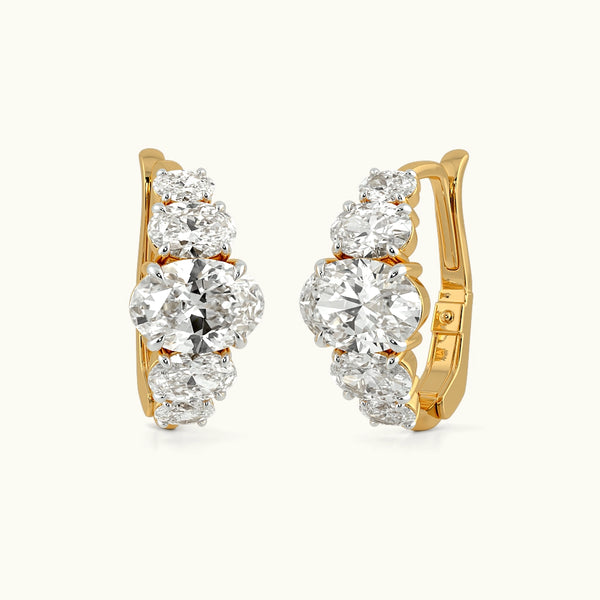 Bold And Beautiful Hoop Earrings